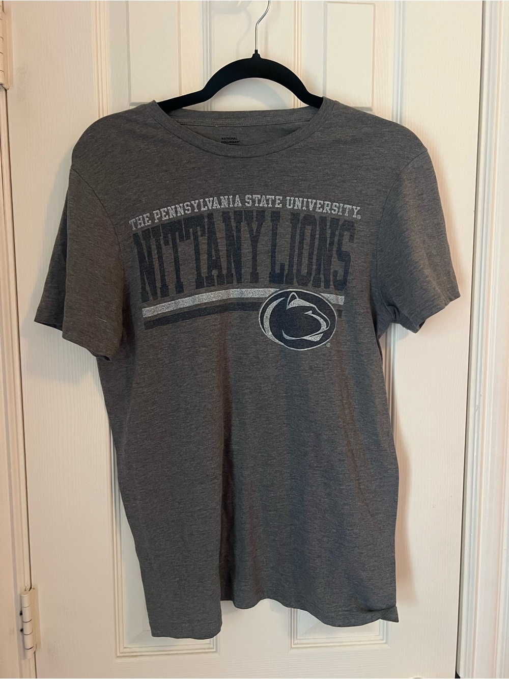 Pennsylvania State University Nittany Lions Gray Men's Graphic T-Shirt